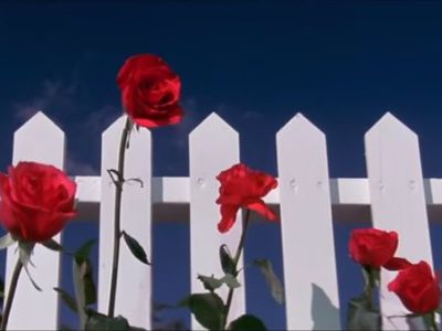 Blue Velvet, David Lynch&nbsp;(1986)