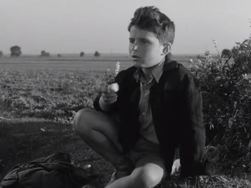 Limguela Top films&nbsp;polonais