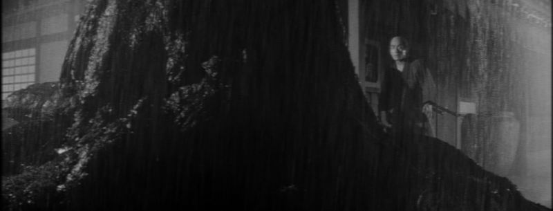 Yagyu Chronicles 9 Assassins Sword7