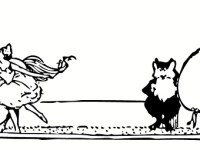 De l&rsquo;utilité des&nbsp;fous