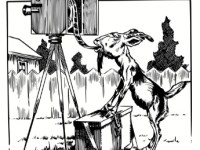 La jeunesse se fout du&nbsp;cinéma