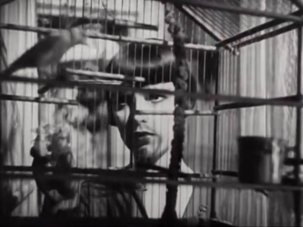 Prix de beauté (Miss Europe), Augusto Genina&nbsp;(1930)